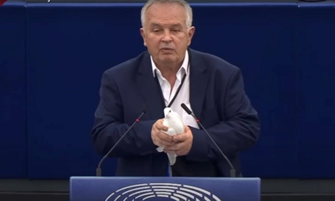 ευρωβουλευτής περιστέρι