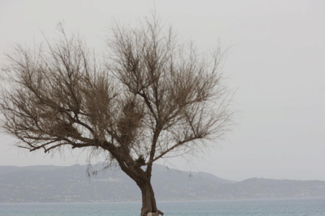 αφρικανική σκόνη