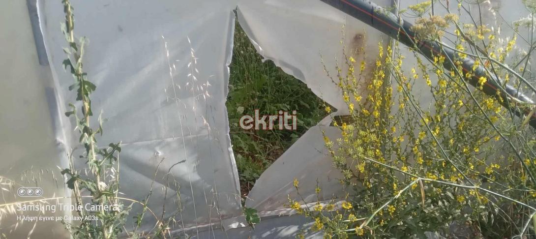 θερμοκήπιο άρβη