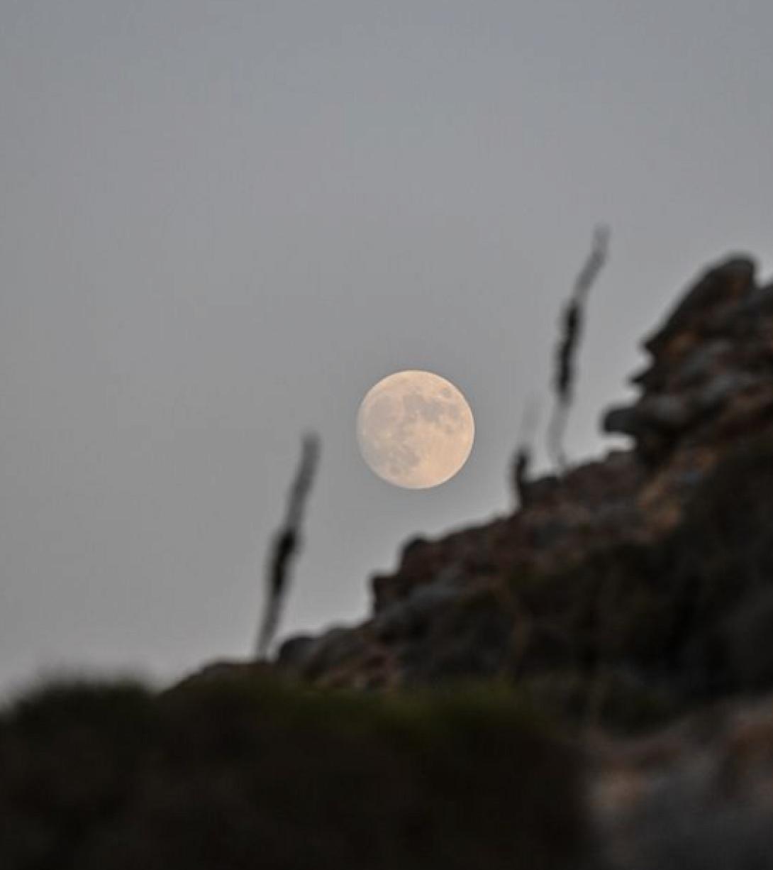 σητεία