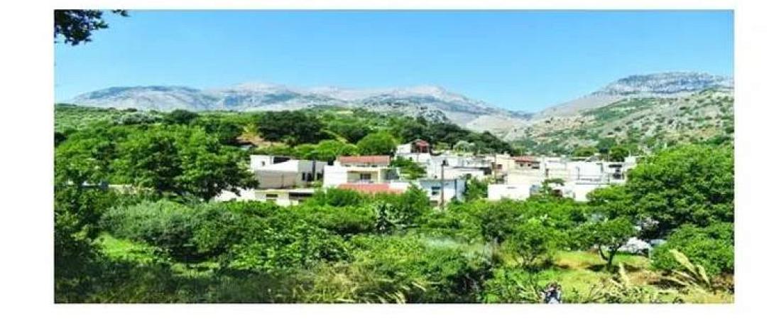 Σάρχος