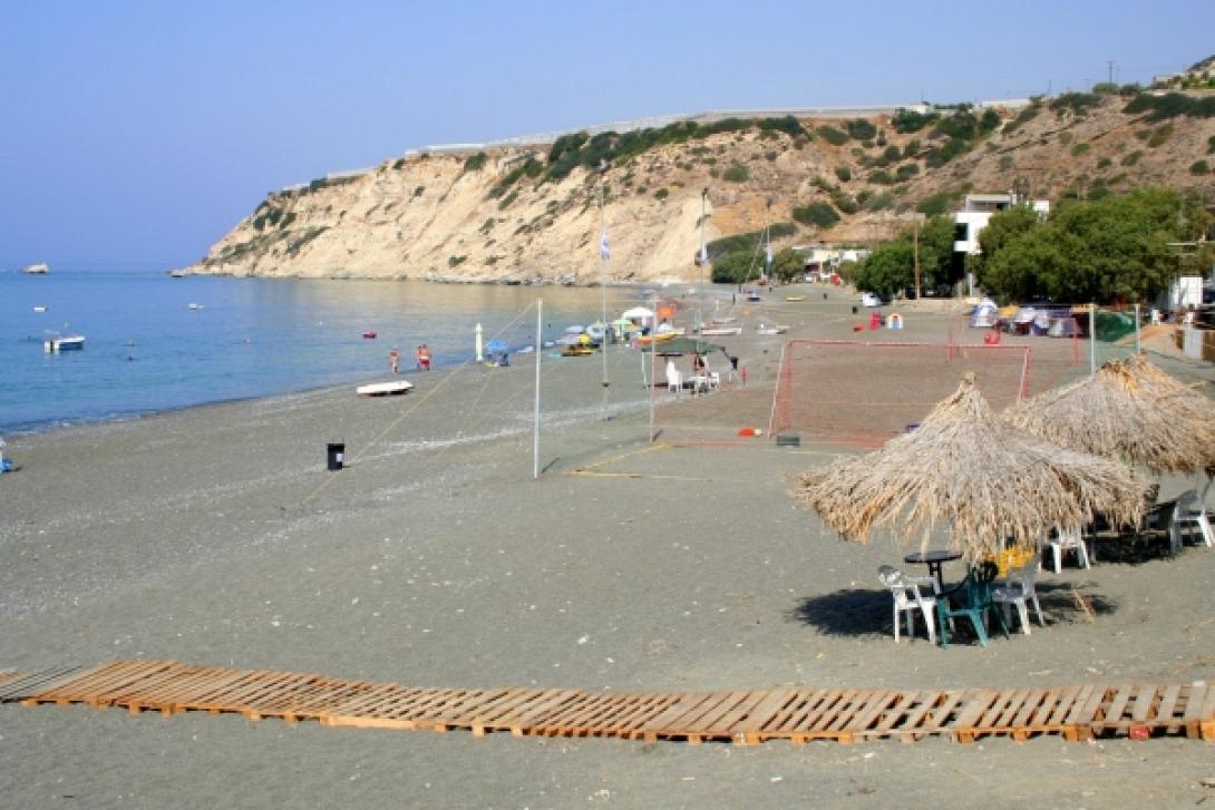 ΨΑΡΗ ΦΟΡΑΔΑ