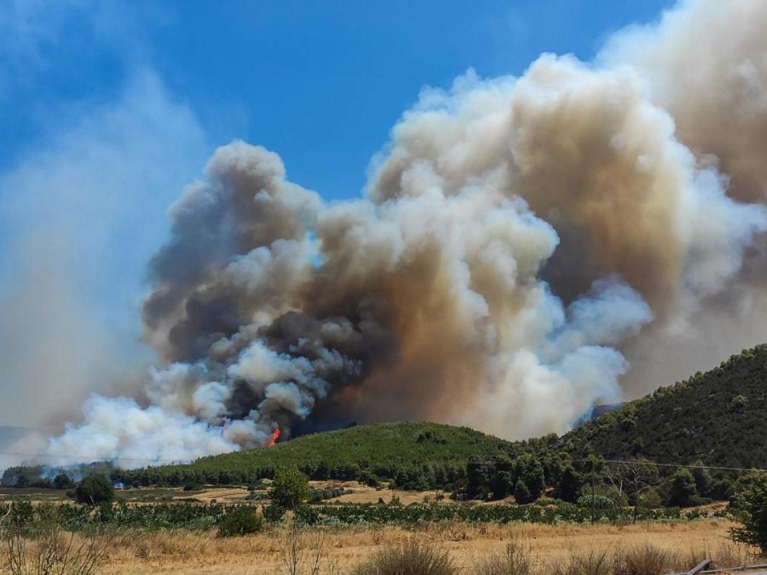 φωτια Ευβοια