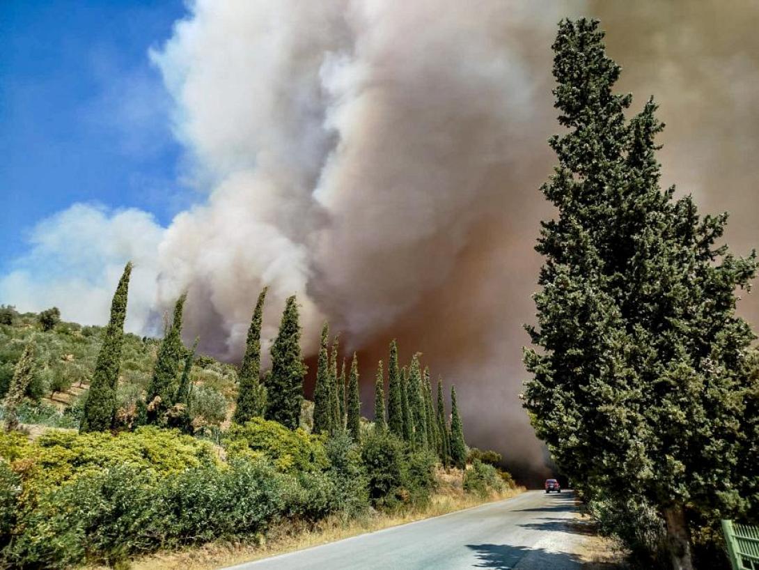Φωτιά στην Εύβοια 