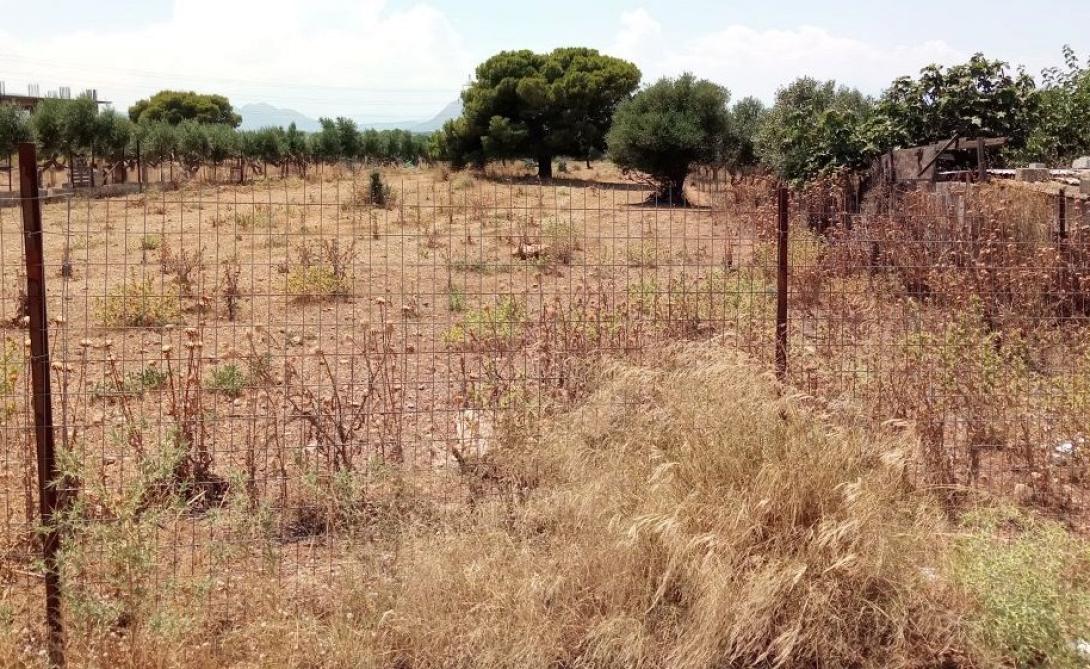 ακαθαριστο οικοπεδο