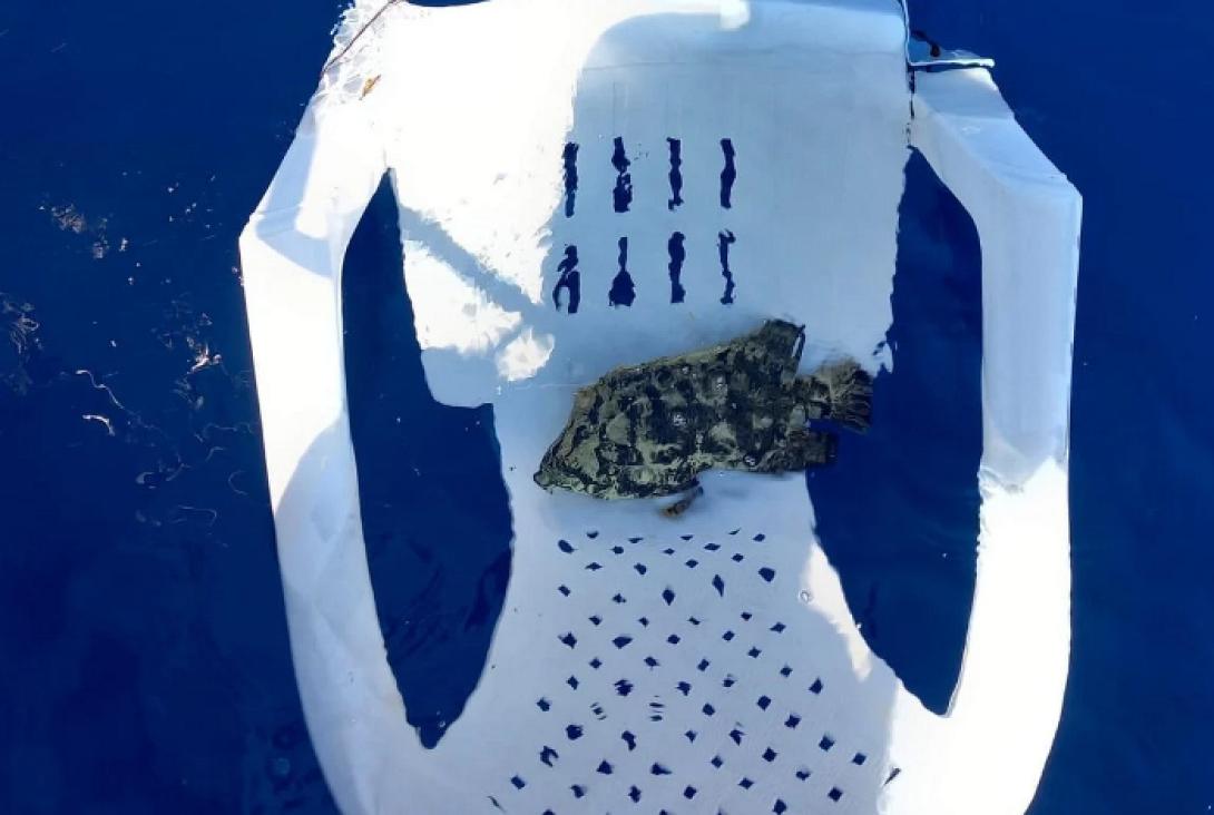 ψάρι καρέκλα