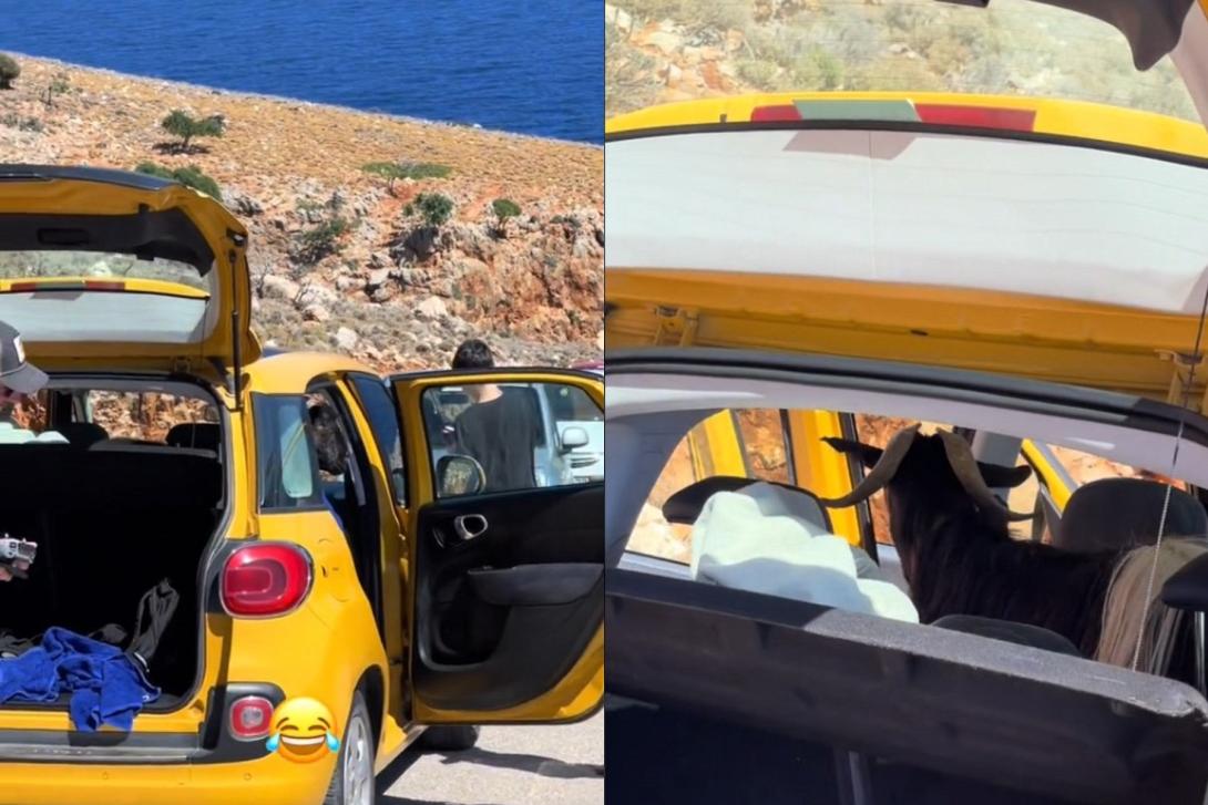 Τράγος Χανιά