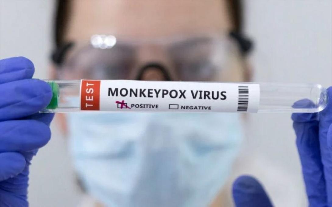 ΕΥΛΟΓΙΑ ΤΩΝ ΠΙΘΗΚΩΝ