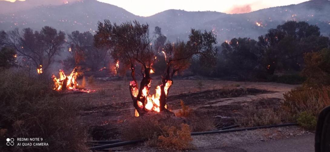 Φωτιά στο Ρέθυμνο