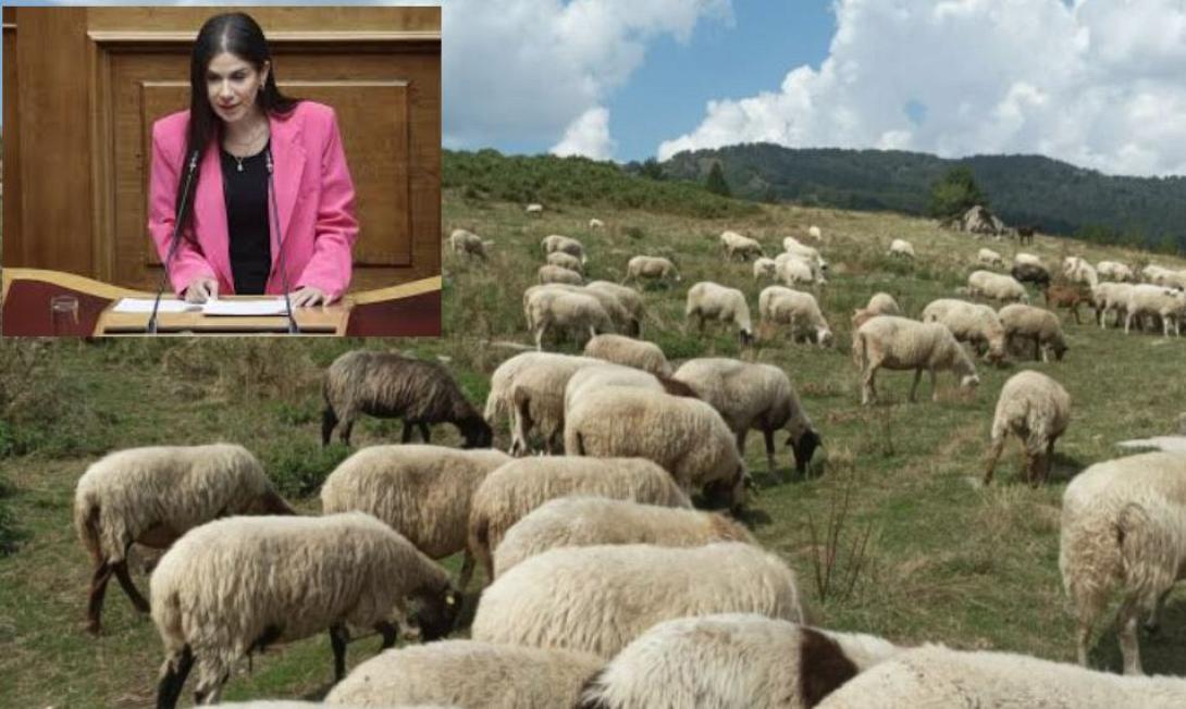 ΒΑΤΣΙΝΑ