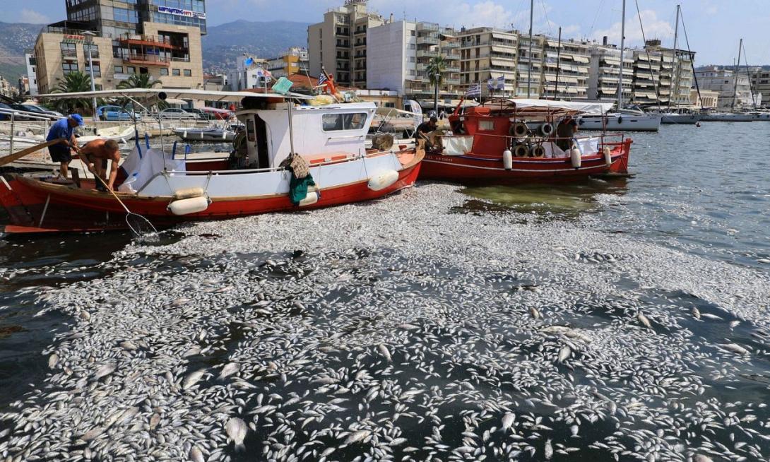 Βόλος