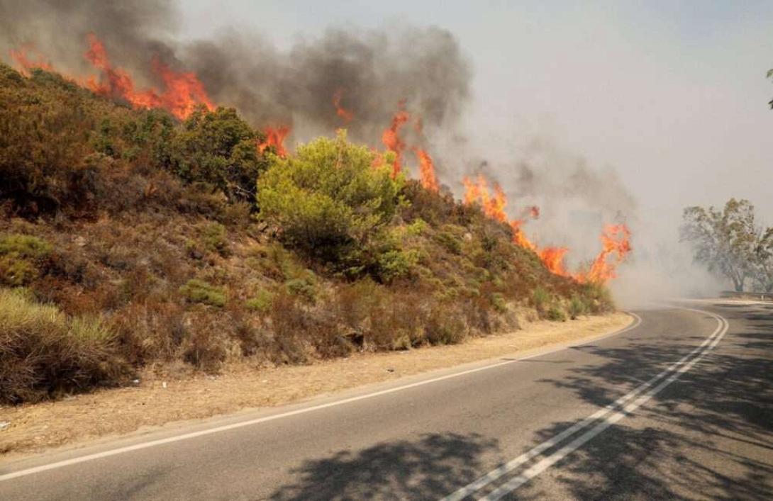 Όρβηλος Ορος