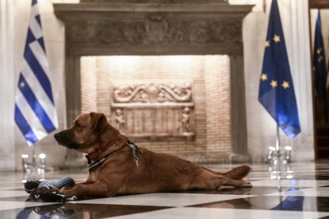 πινατ