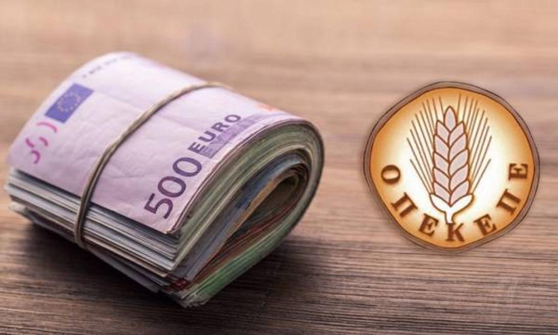 Επιδοτήσεις