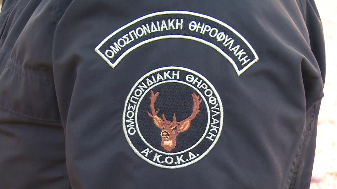 θηροφύλακας