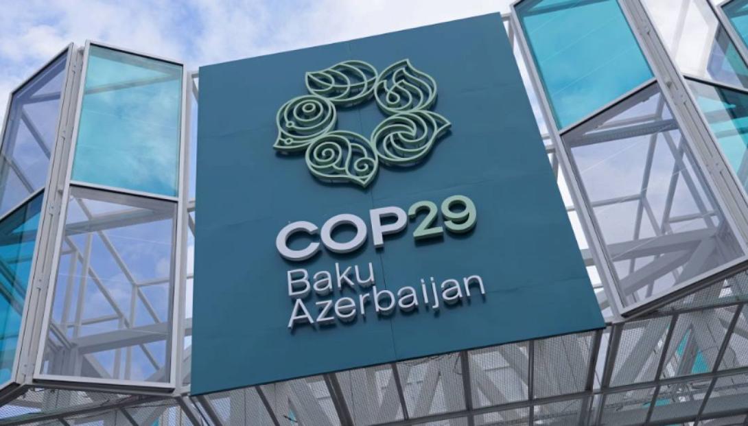 COP29