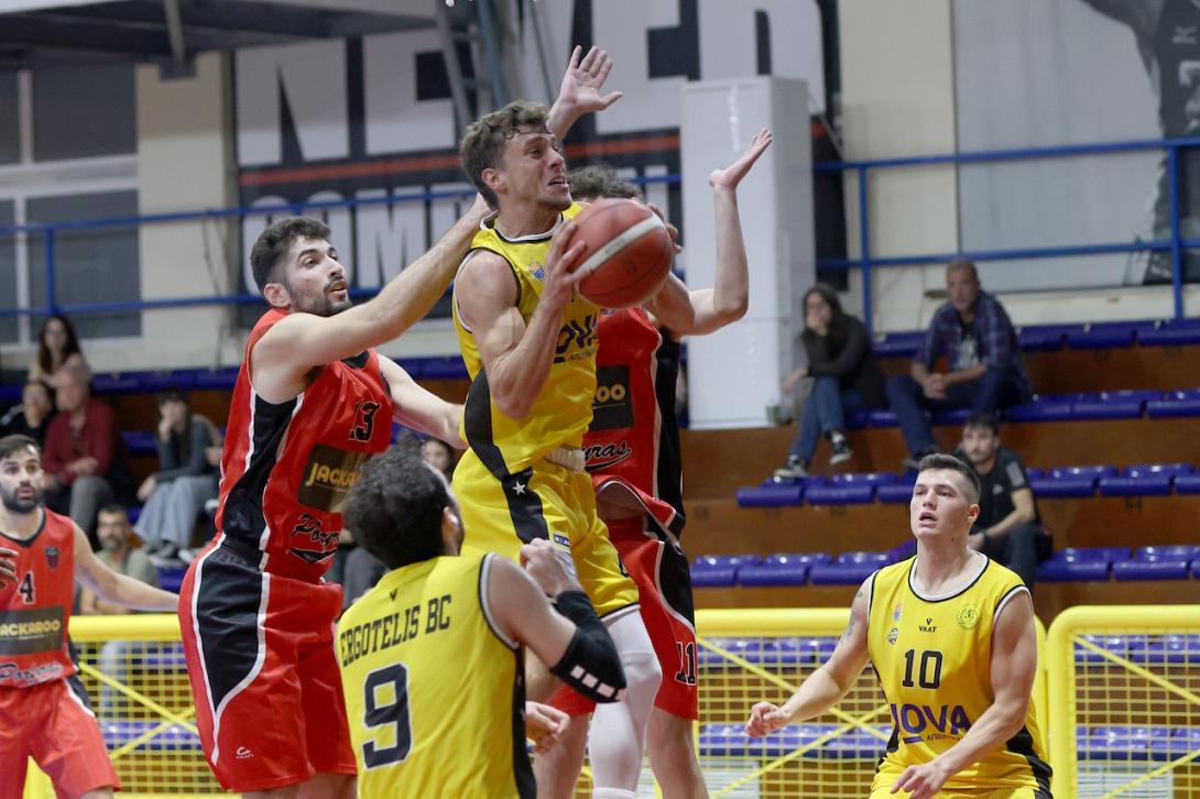 ergotelisbasket