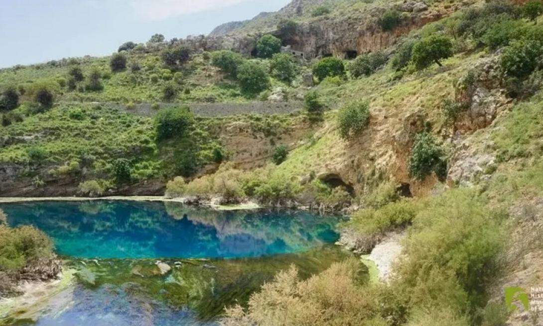 Αλμυρός