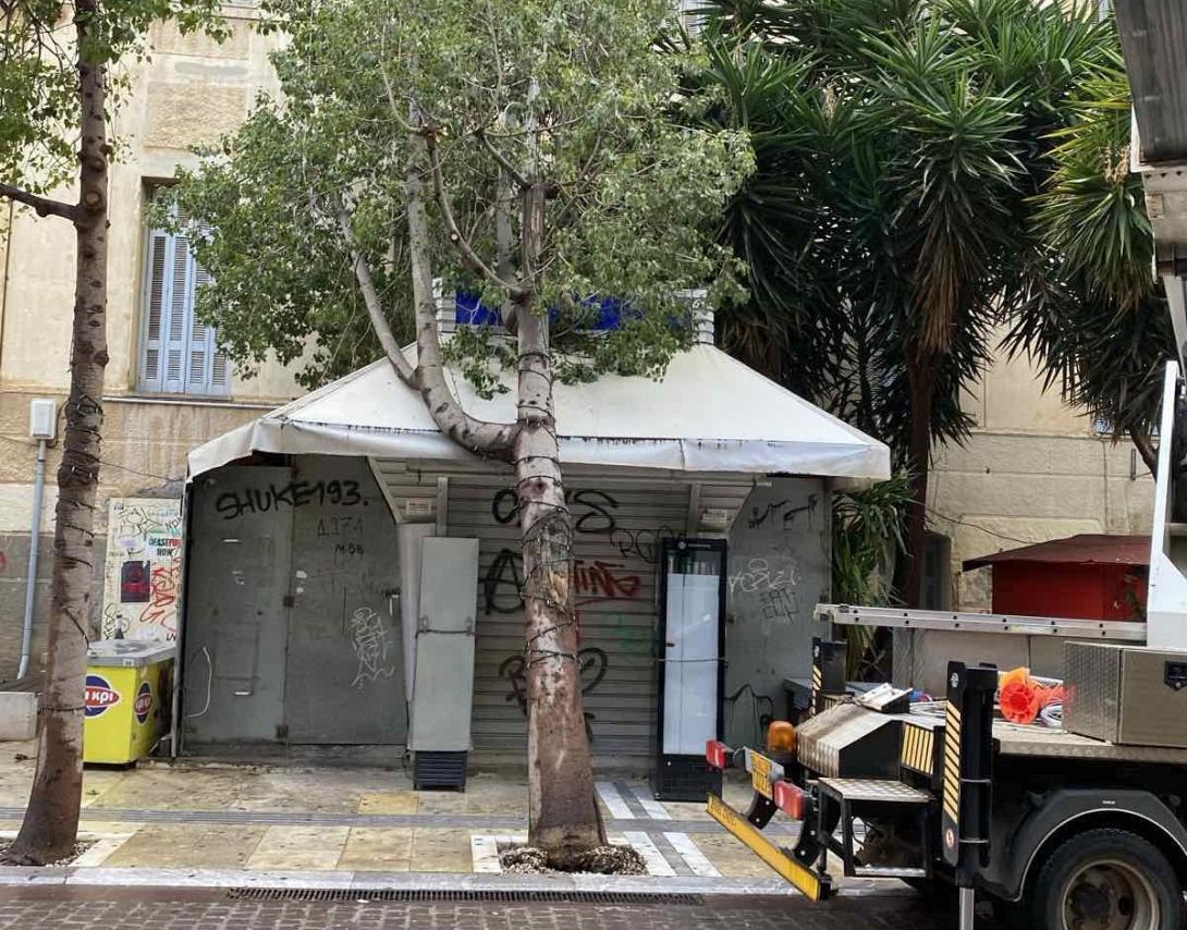 δεντρο
