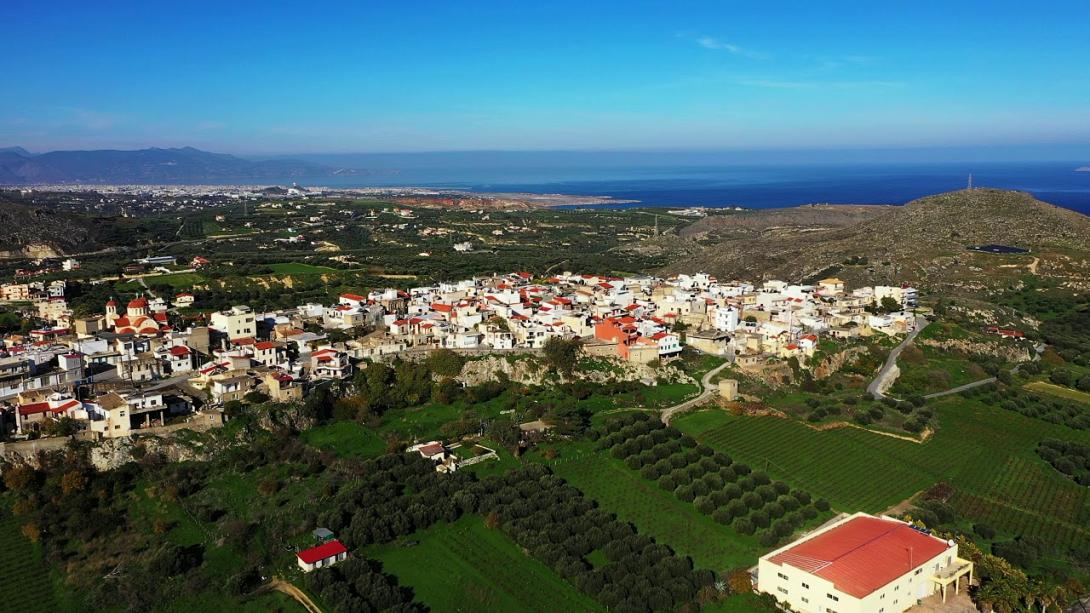 ΕΛΙΑ
