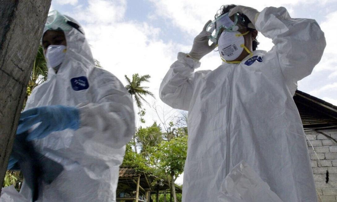 γρίπη πτηνών