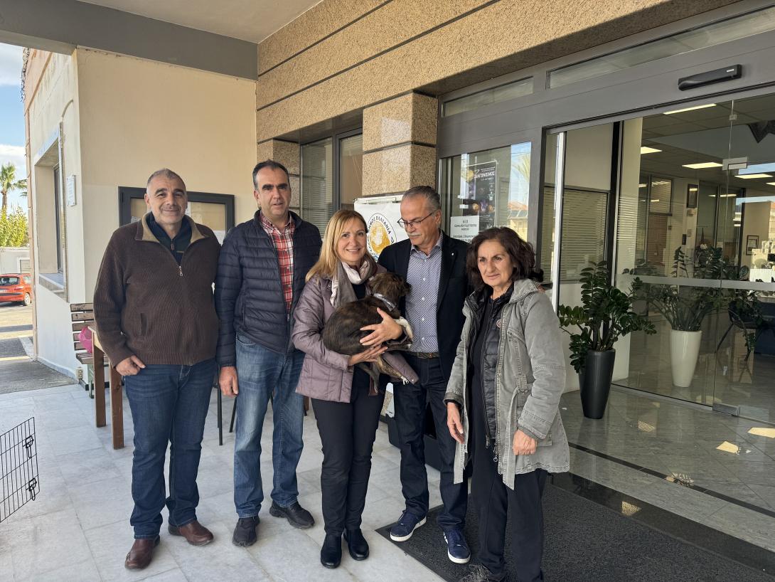 δημος πλατανια αδεσποτα