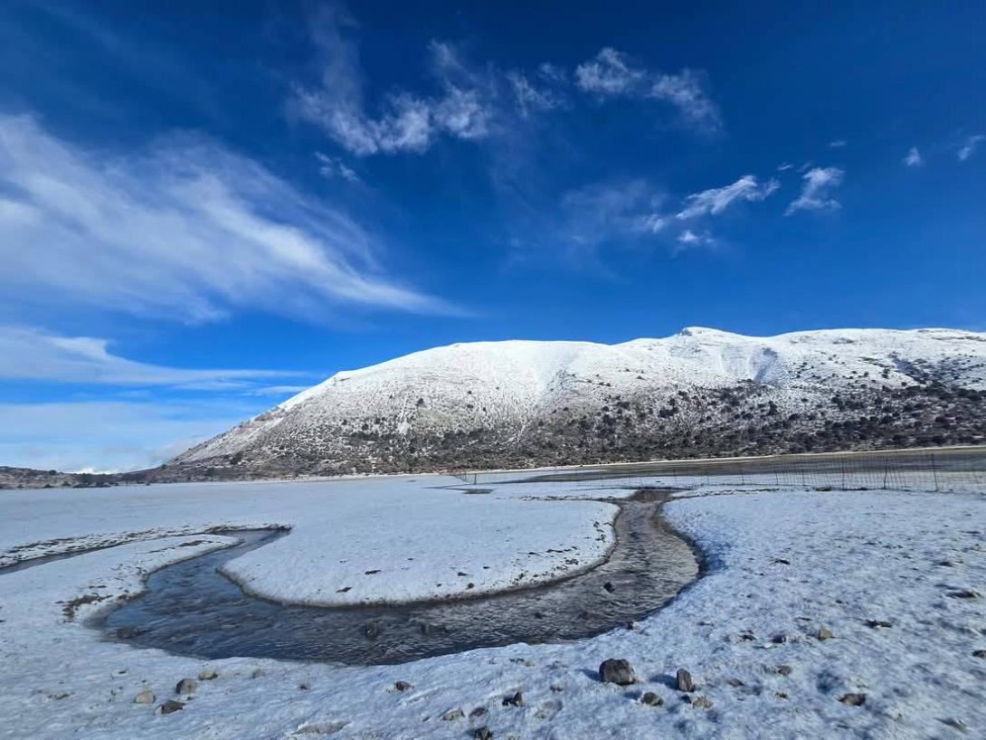 Ομαλός Βιάννου