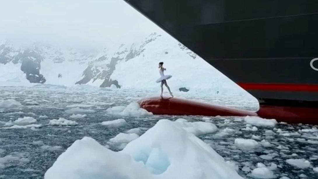 μπαλαρίνα ανταρκτική