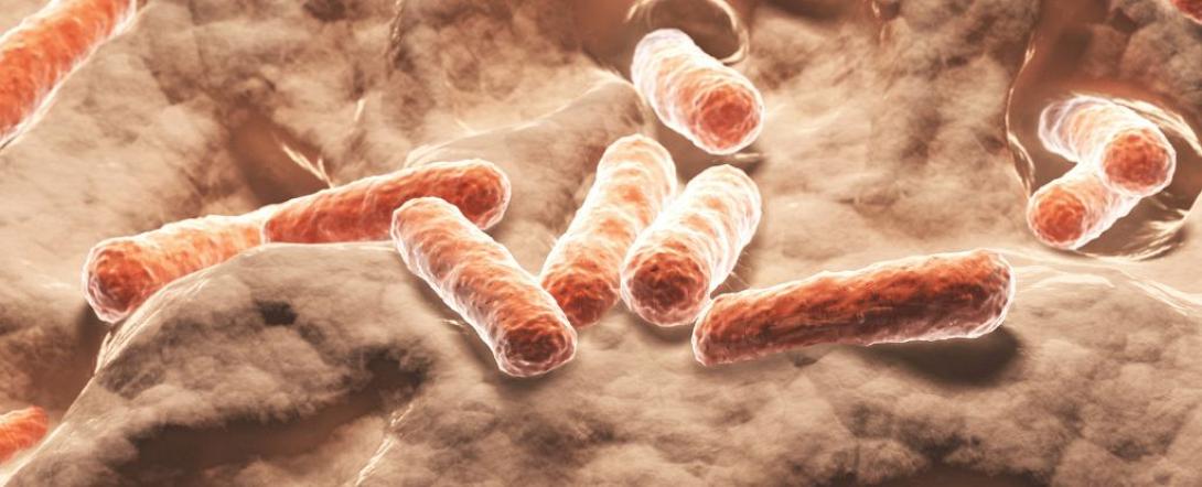 μελετη για απωλεια βαρους