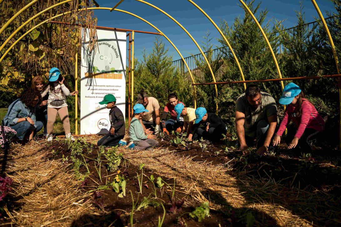 ΔΕΗ και Open Farm 