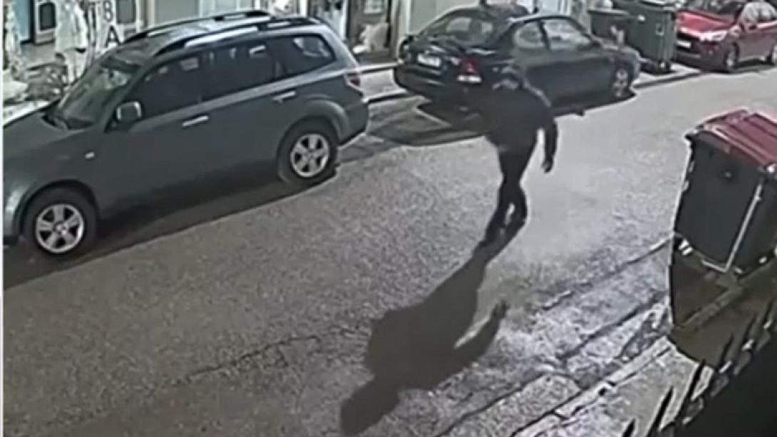 επιδειξίας Περιστέρι