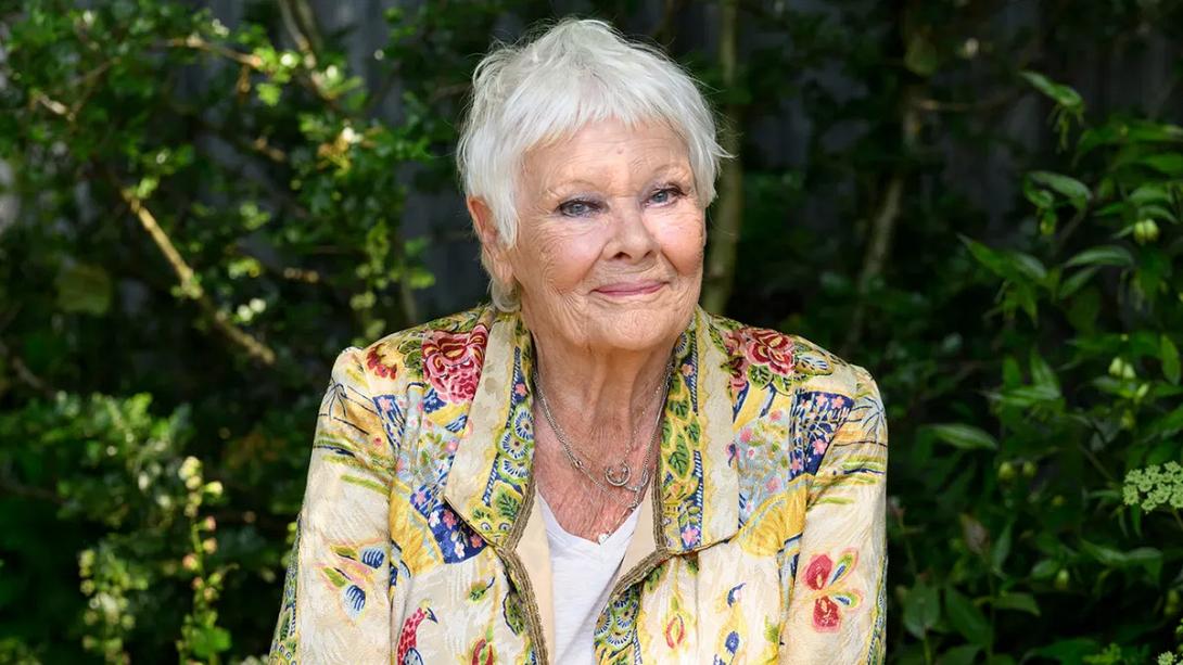judi