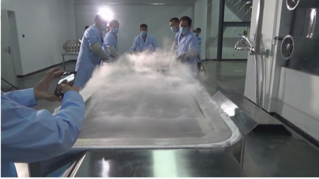 κρυογονική