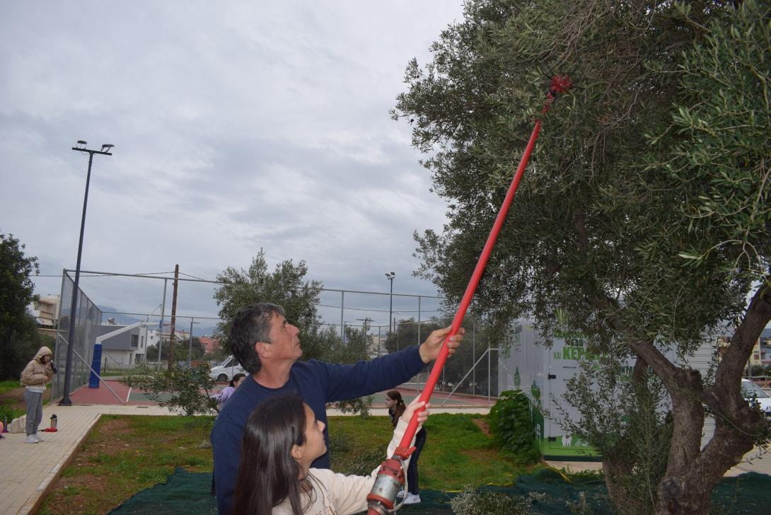 ΕΘΕΛΟΝΤΙΚΗ ΕΛΑΙΟΣΥΓΚΟΜΙΔΗ
