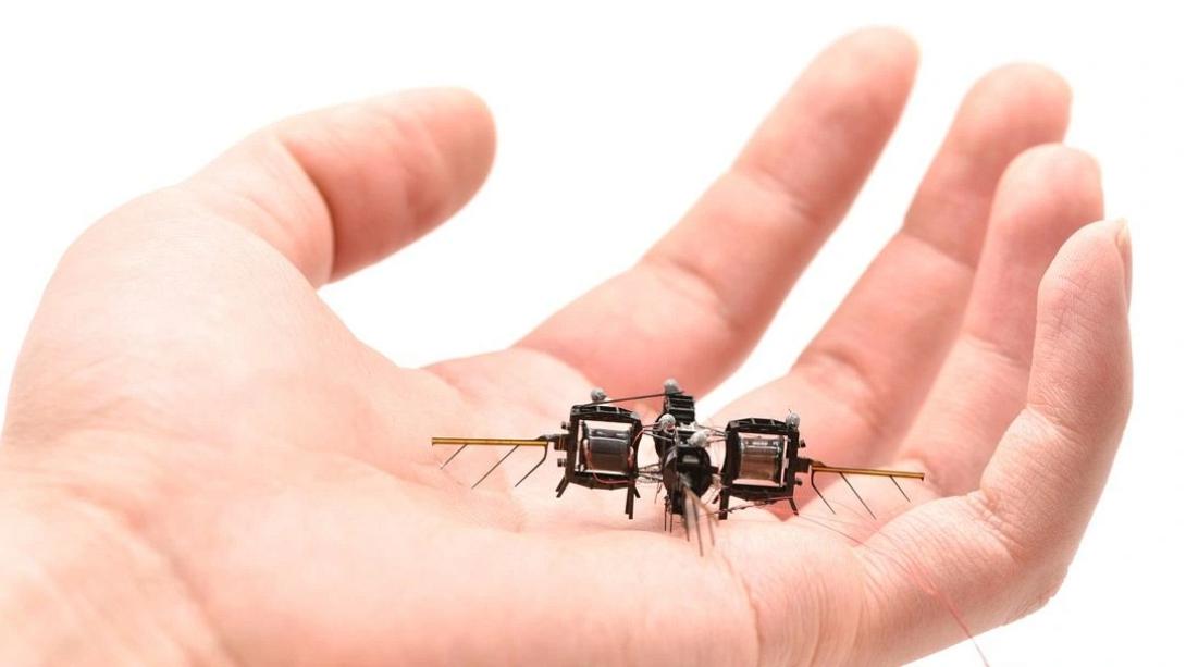 drones φυτα
