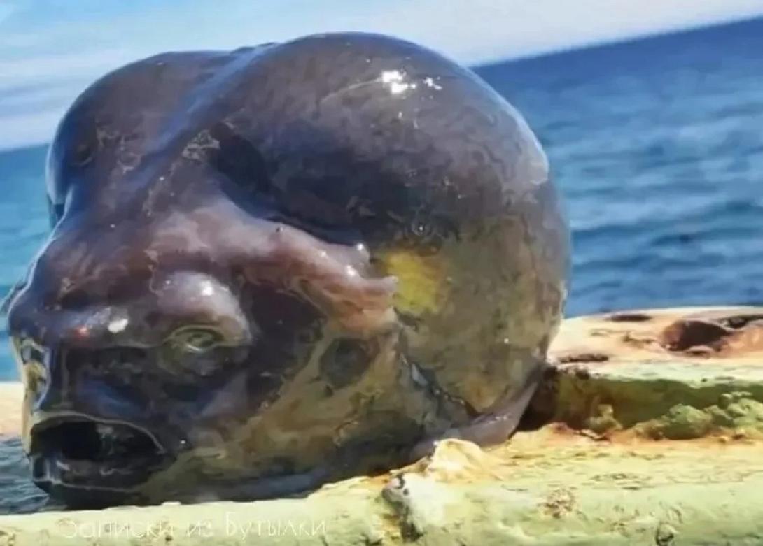 εξωγήινο ψάρι