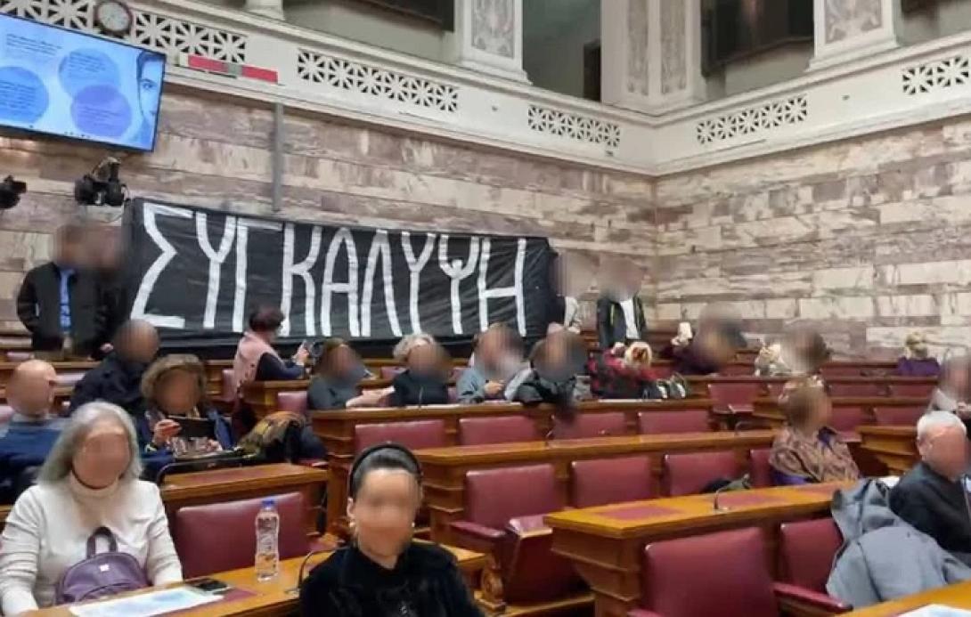 ρουβικωνας βουλη