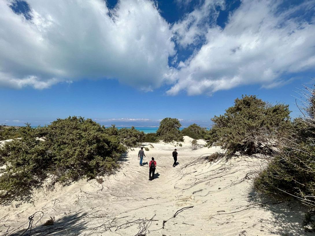 Νησος Χρυσή