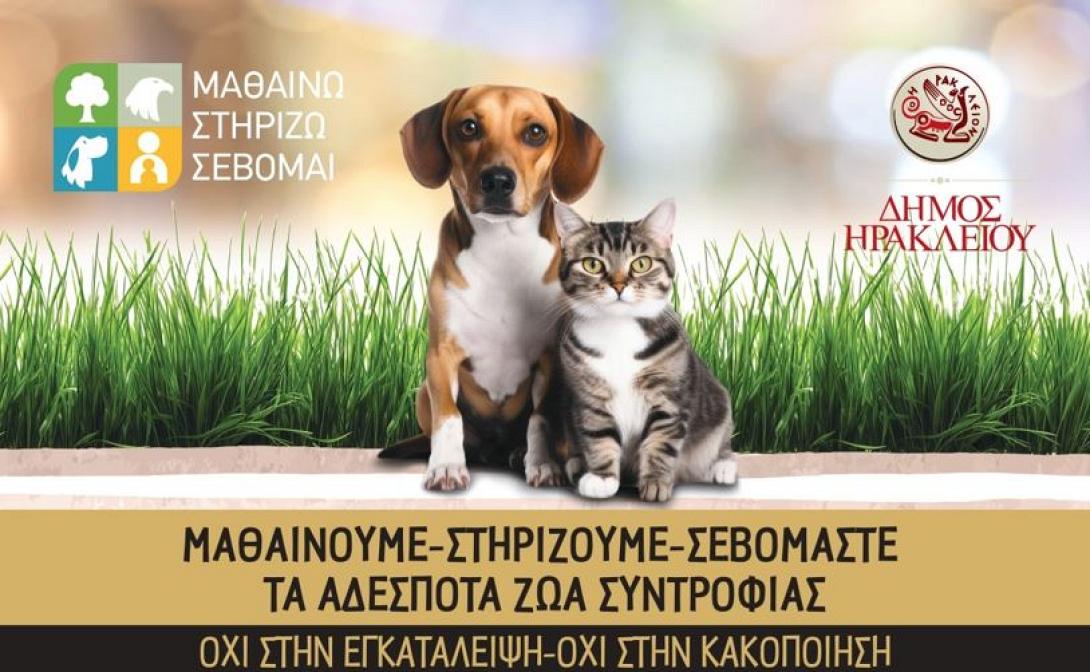 ΑΔΕΣΠΟΤΑ ΣΚΥΛΙΑ