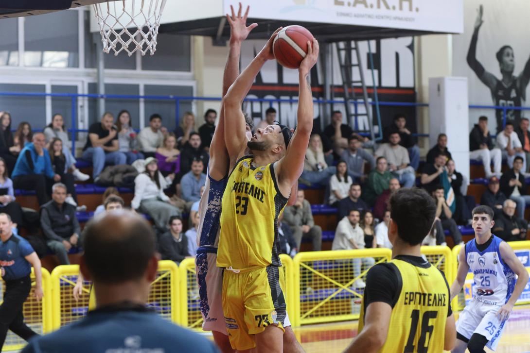 ergobasket