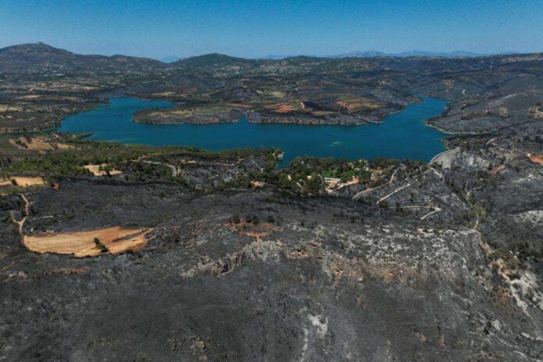  βραχονησίδα