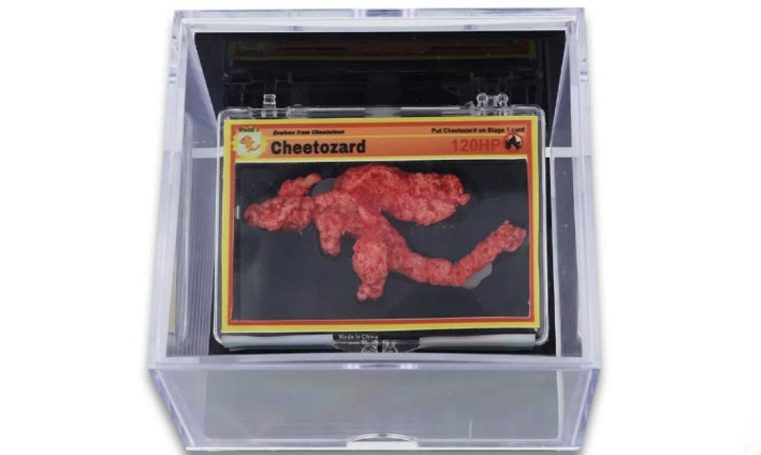 γαριδάκι δημοπρασία