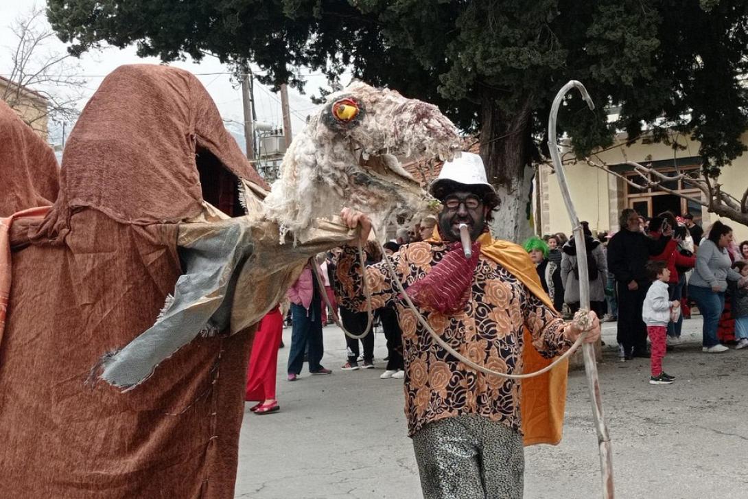 καμήλα κάινα αποκορώνου