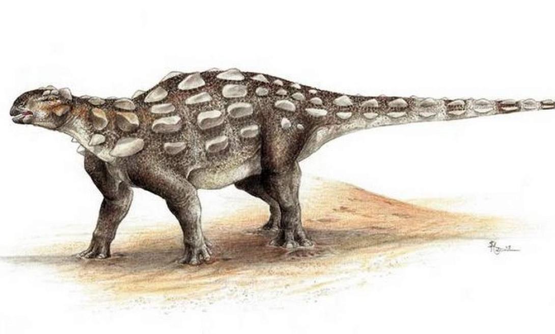 δεινοσαυροι Καναδας