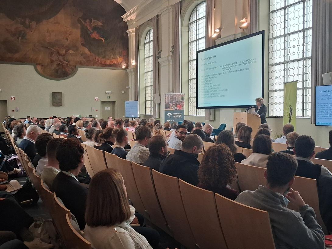 αμβερσα περιφερεια κρητης