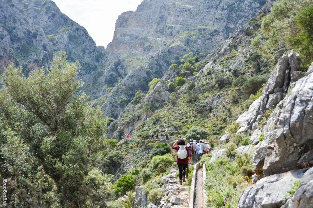 φαραγγι μεσονα