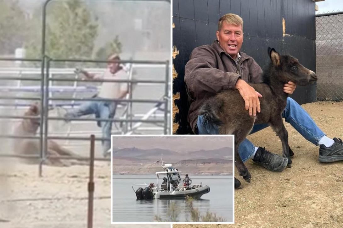 κτηνίατρος