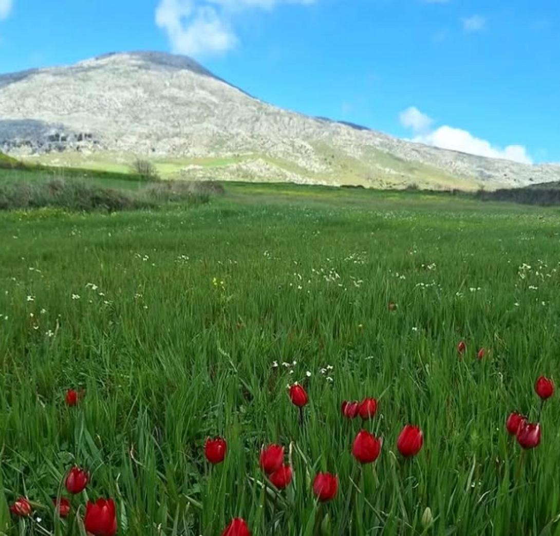 ανοιξη