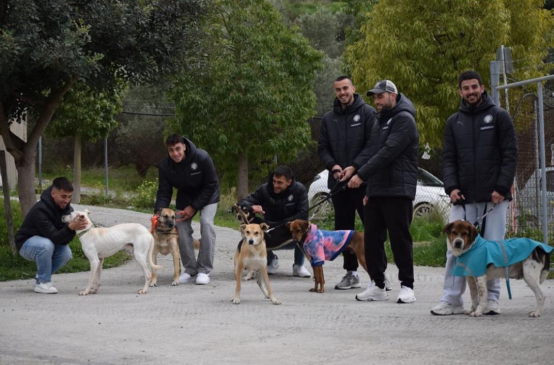 κυνοκομειο