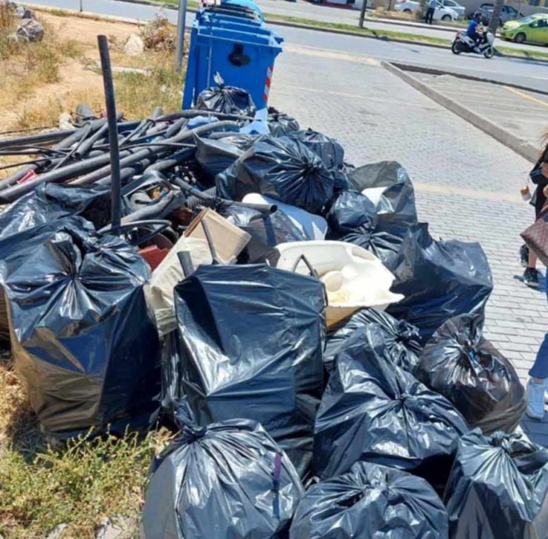 εθελοντική δράση 